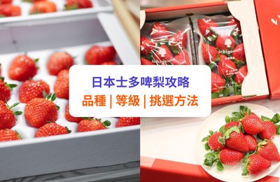 【日本士多啤梨】10大熱門品種、等級、甜度比較!附3大揀士多啤梨方法