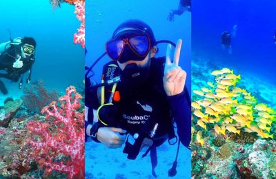 Dive into Adventure at Thailand's 6 Best Diving Spots