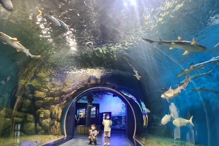 3D2N Gangneung Tour from Seoul