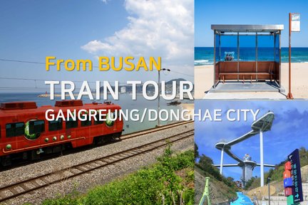 Gangneung & Donghae Tour by Donghae Line from Busan