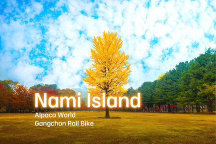 Nami Island/Alpaca/Hanbok/Rail Bike/Begonia Bird Park/Petite France