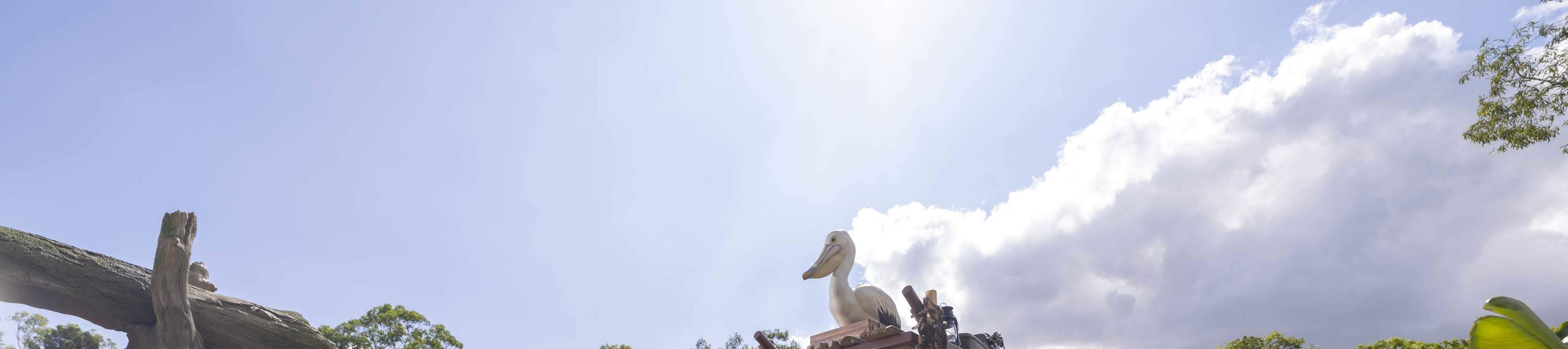 Dreamworld Gold Coast Ticket