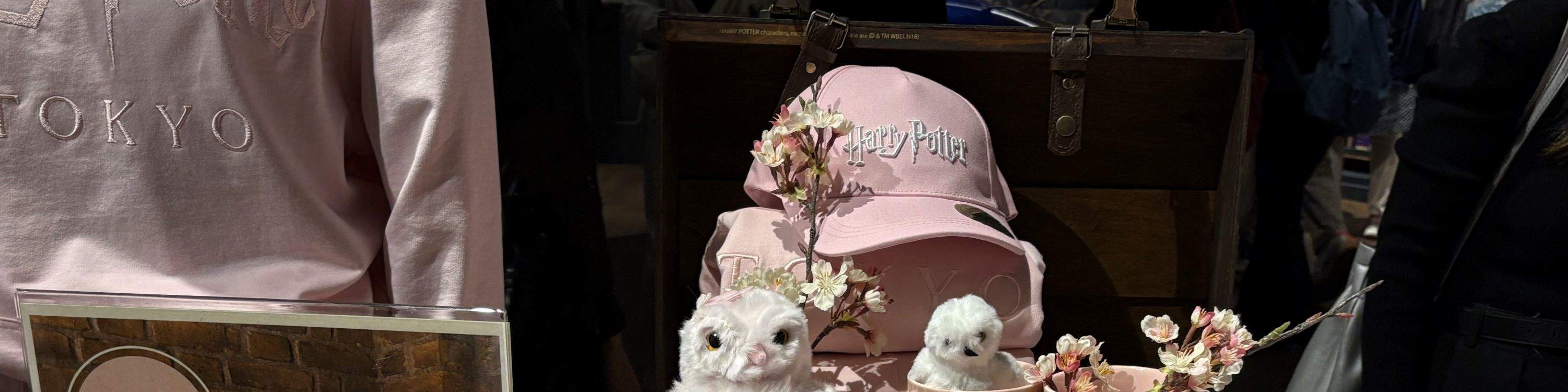 Visite des studios Warner Bros. à Tokyo : billet pour les coulisses d'Harry Potter