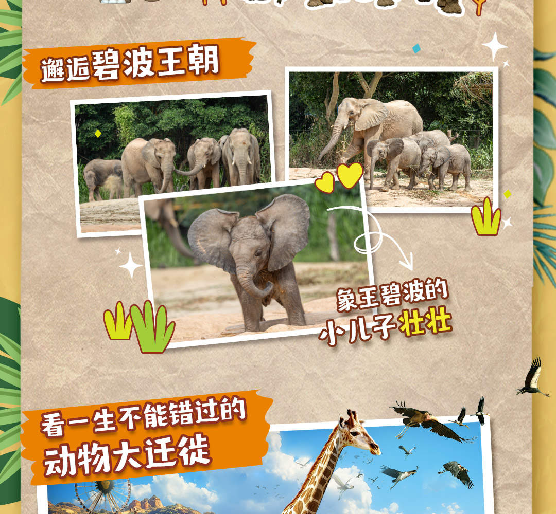 Chimelong