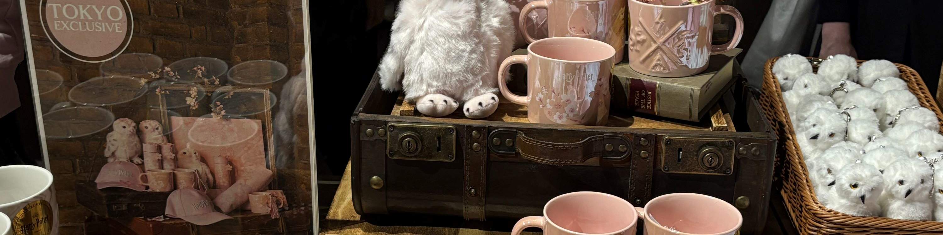 Visite des studios Warner Bros. à Tokyo : billet pour les coulisses d'Harry Potter