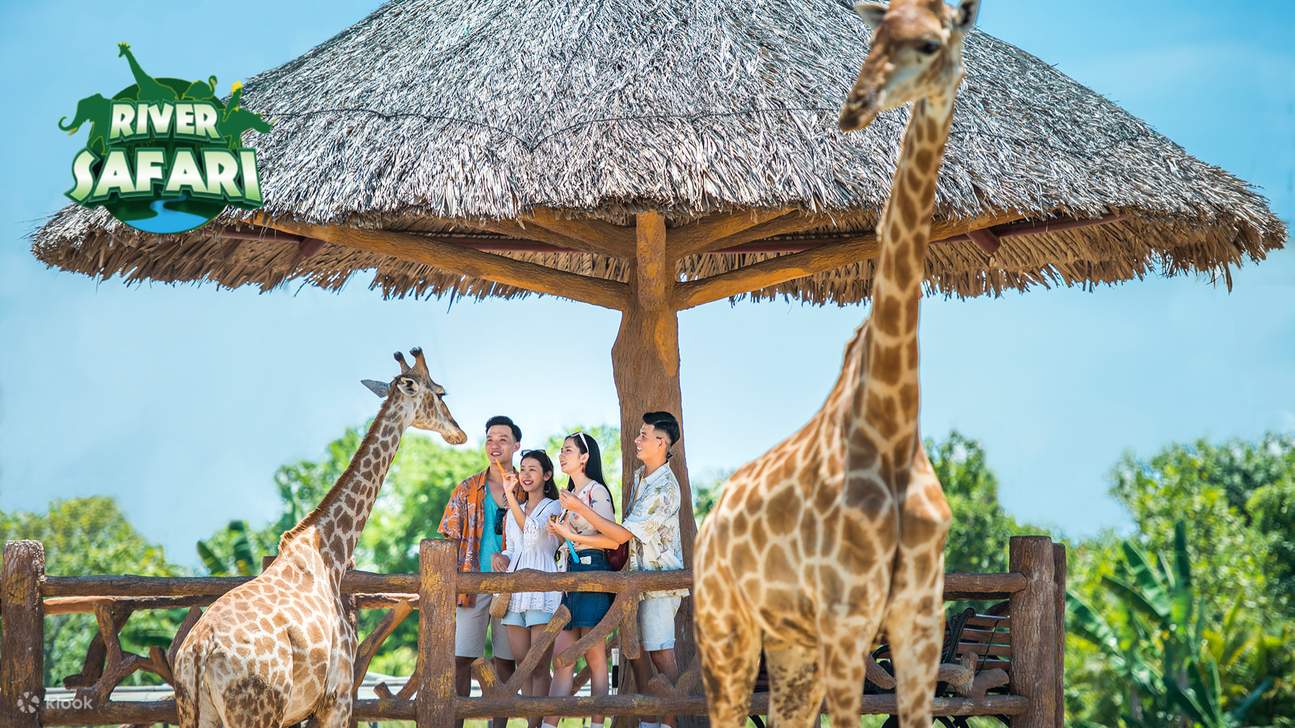 Explore the meadows, where antelopes, giraffes, zebras deers, and camels roam around freely