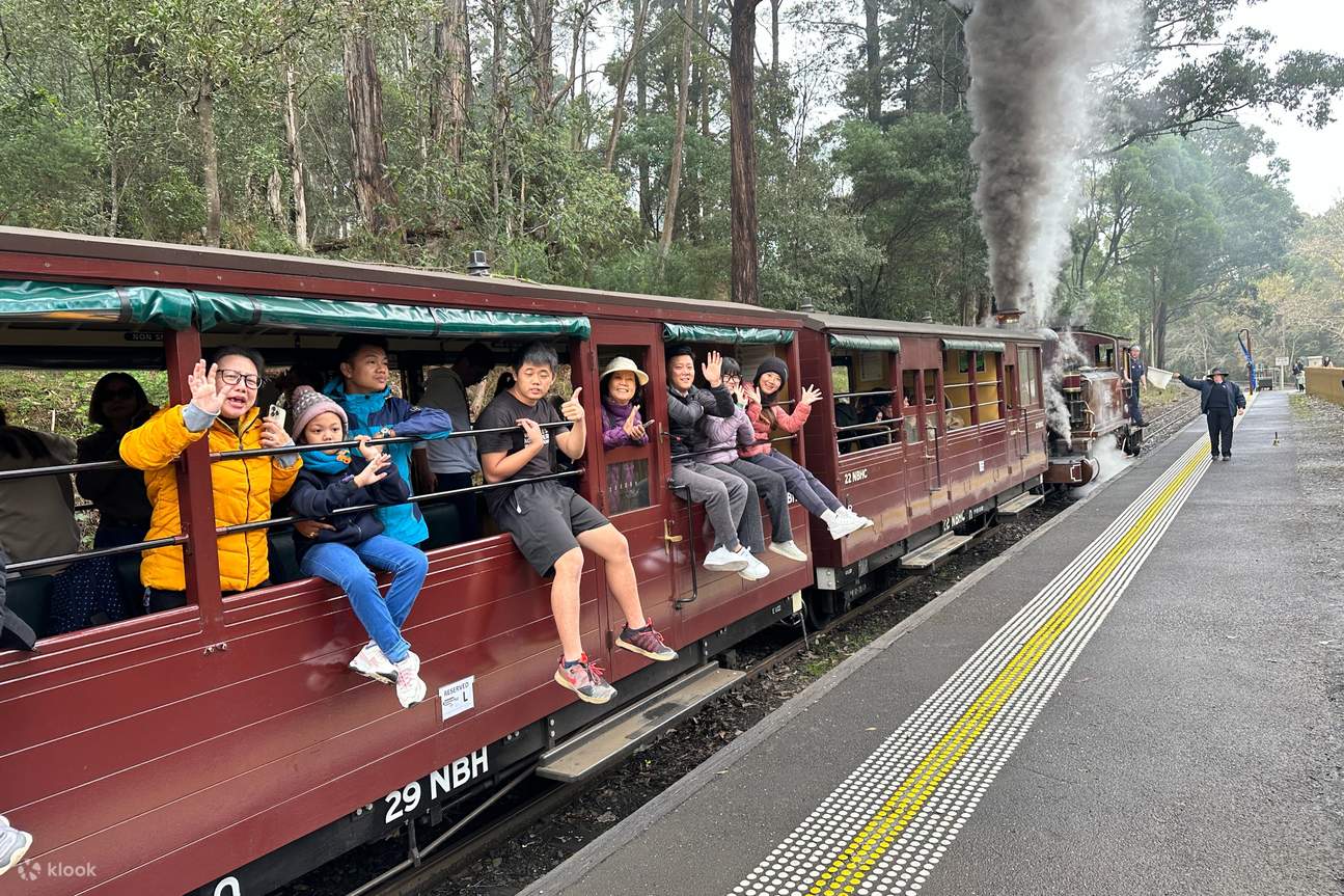 Puffing Billy wildlife journey
