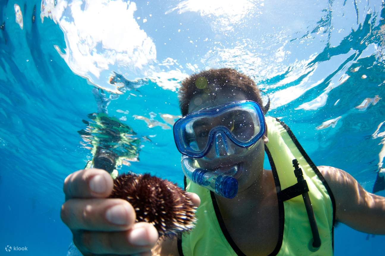 snorkeling oahu
