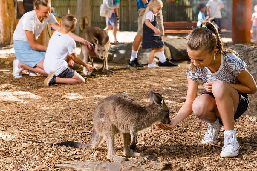 Native Wildlife precinct