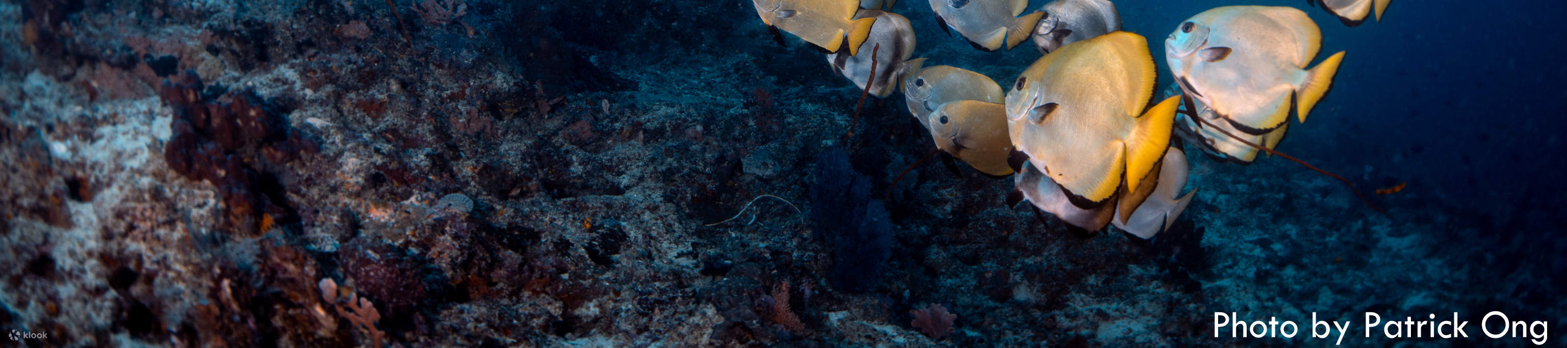 4 Days 3 Nights Diver Package