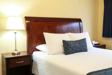 The Hotel Hollywood #5